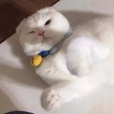 无月有星825头像