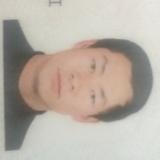 正直百灵鸟s2头像