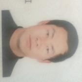 正直百灵鸟s2头像