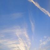 暖阳下自由的风铃头像