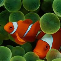 万吐岁53091696头像