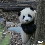 仁泽R头像