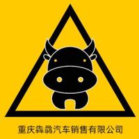 犇骉氵气車头像