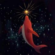 MemoryJin的个人资料头像