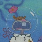 要努力做一个废物的个人资料头像