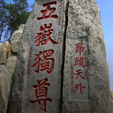 泰拳不打拳头像
