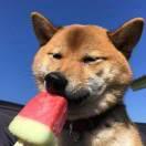 青山云迹的个人资料头像