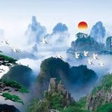 用户6504616353856头像