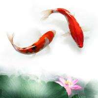 杜杰冈头像