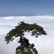 大海945的个人资料头像