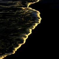 正直青山AQP头像