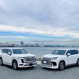 独行天下揽胜行头像