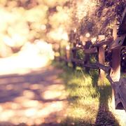 路小会的个人资料头像