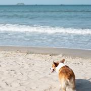 拾玖452的个人资料头像