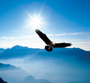 约翰训的个人资料头像