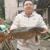 哥已退出汽车销售头像