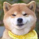 正大丶光明的个人资料头像