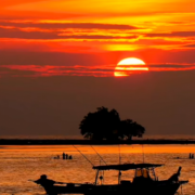 落叶枫途的个人资料头像