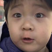 每天写10个小bug的个人资料头像