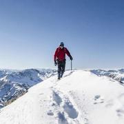 彭星的个人资料头像