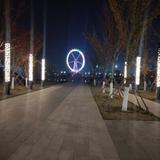随风而去3427头像