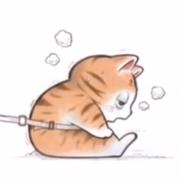 anywhere的个人资料头像