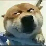 用户7974332703672的个人资料头像