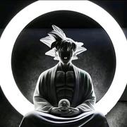 蜜汁炖鱼的个人资料头像