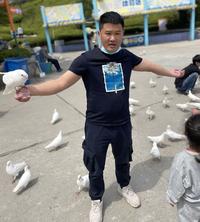 套上我的那架马车头像