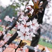 mathdriller的个人资料头像