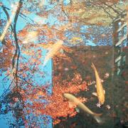 半生素衣的个人资料头像