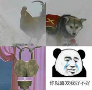 哆啦酱油的个人资料头像