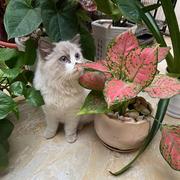 魏小宝547的个人资料头像