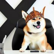 切图仔675的个人资料头像