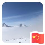 波仔东400头像