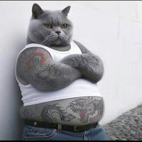 一只爱喝可乐的土拨鼠头像