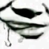 彦灰不会灰头像