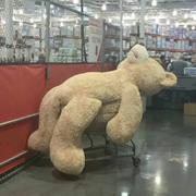 Rotten的个人资料头像