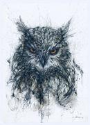 秋橘的个人资料头像