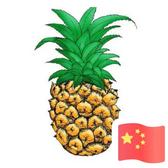 用户6029152800195头像