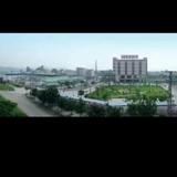 Panhuanqiang头像