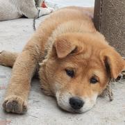 浅吟秋风的个人资料头像