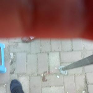 son图库兔兔兔子舞头像