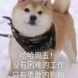Areyouready701头像