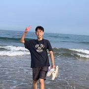 可乐还是好喝的的个人资料头像