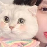 傲娇8317头像