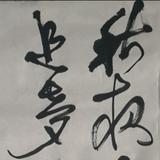 嘉夜星光头像