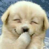 卡罗拉锐放半年车主头像