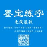 墨宝练字陈老师头像