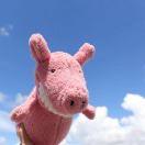 高地舞者的个人资料头像